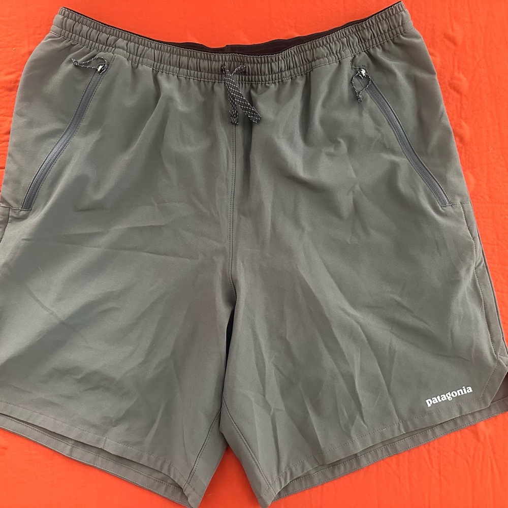 Patagonia Men's Grey shorts